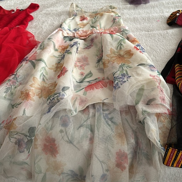 The dresses are silky inside of it and it is in a good condition - Picture 2 of 6